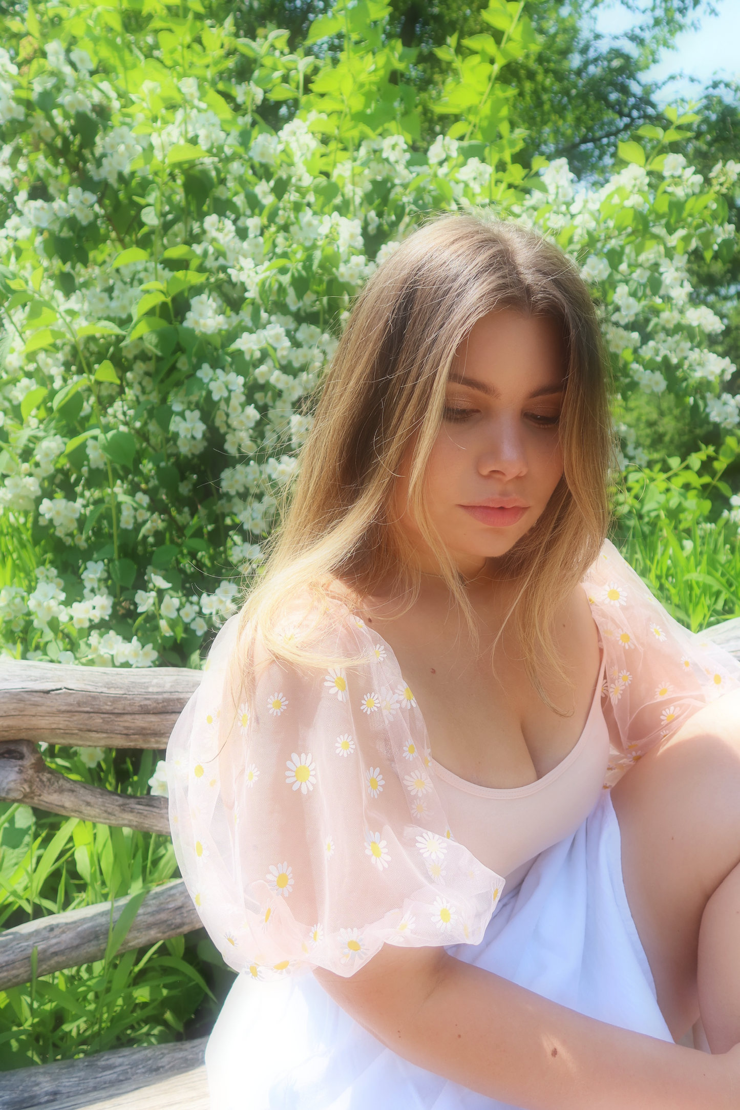 Daisy Cami